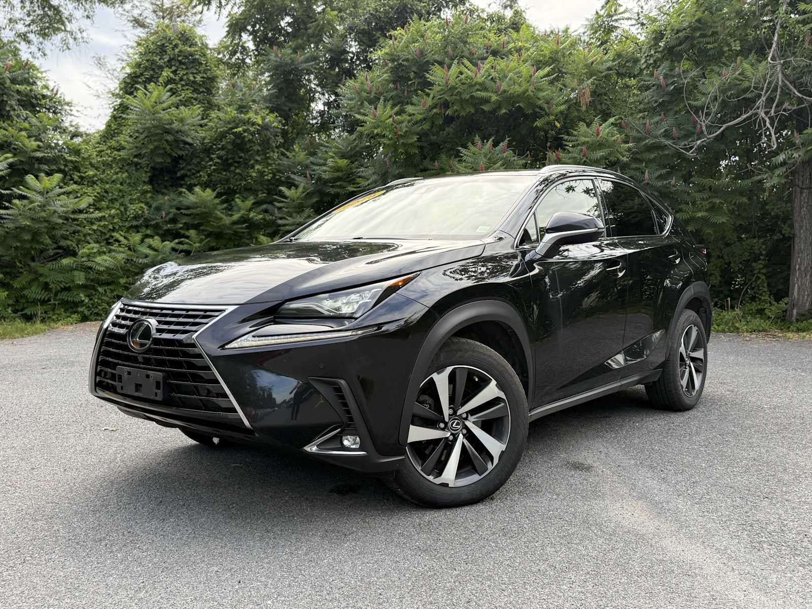 2018 Lexus NX 300 Base in Caviar — front three-quarter view